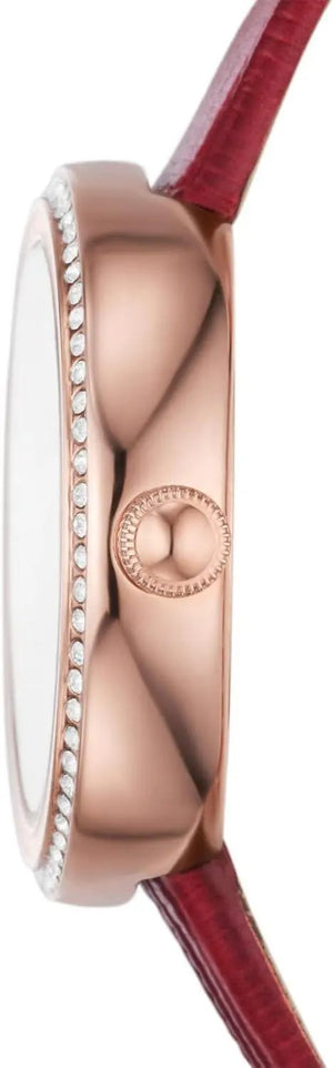 Emporio Armani AR11532 Women’s Watch Emporio Armani