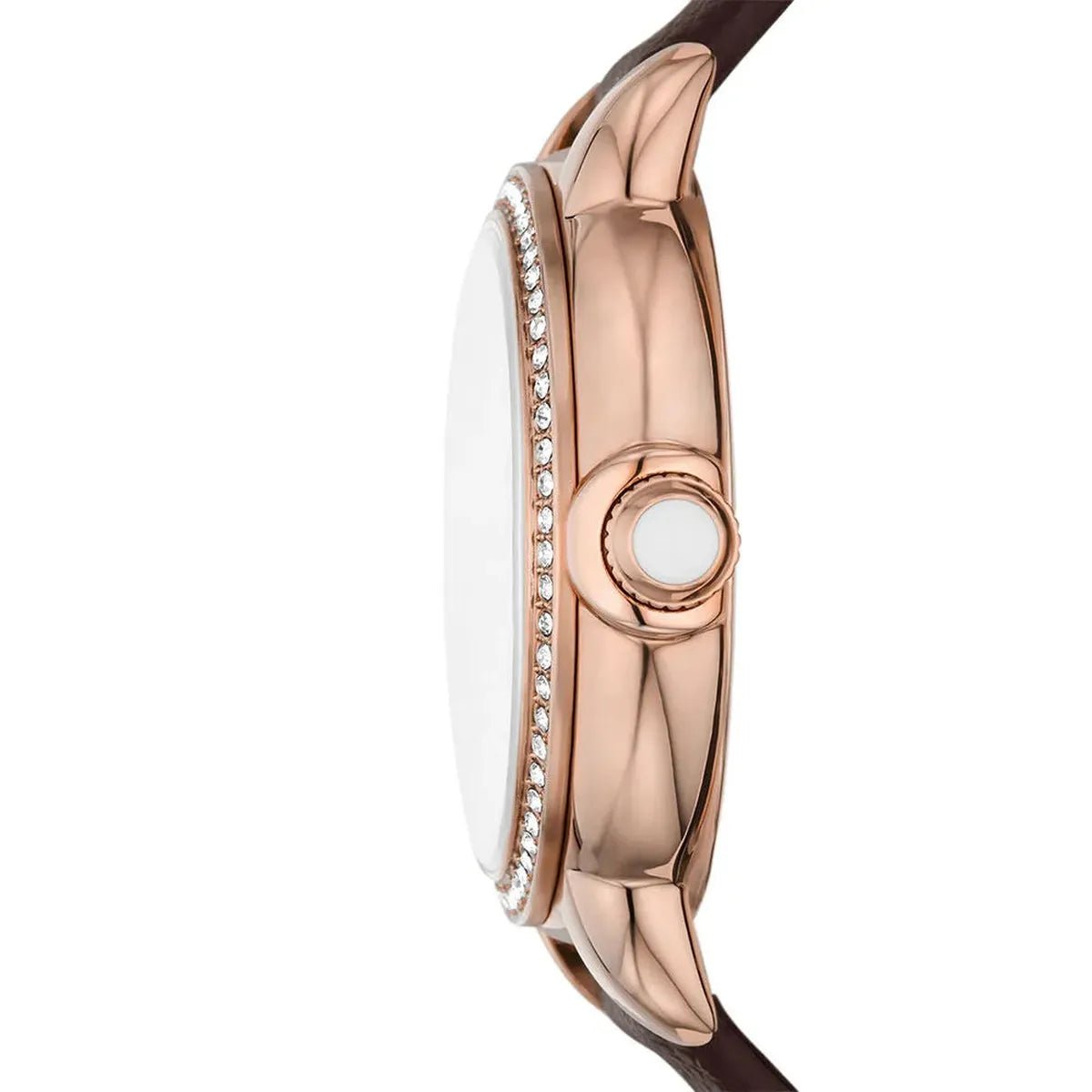 Emporio Armani Mia Quartz Women's Watch AR11568 - Watch Enclave