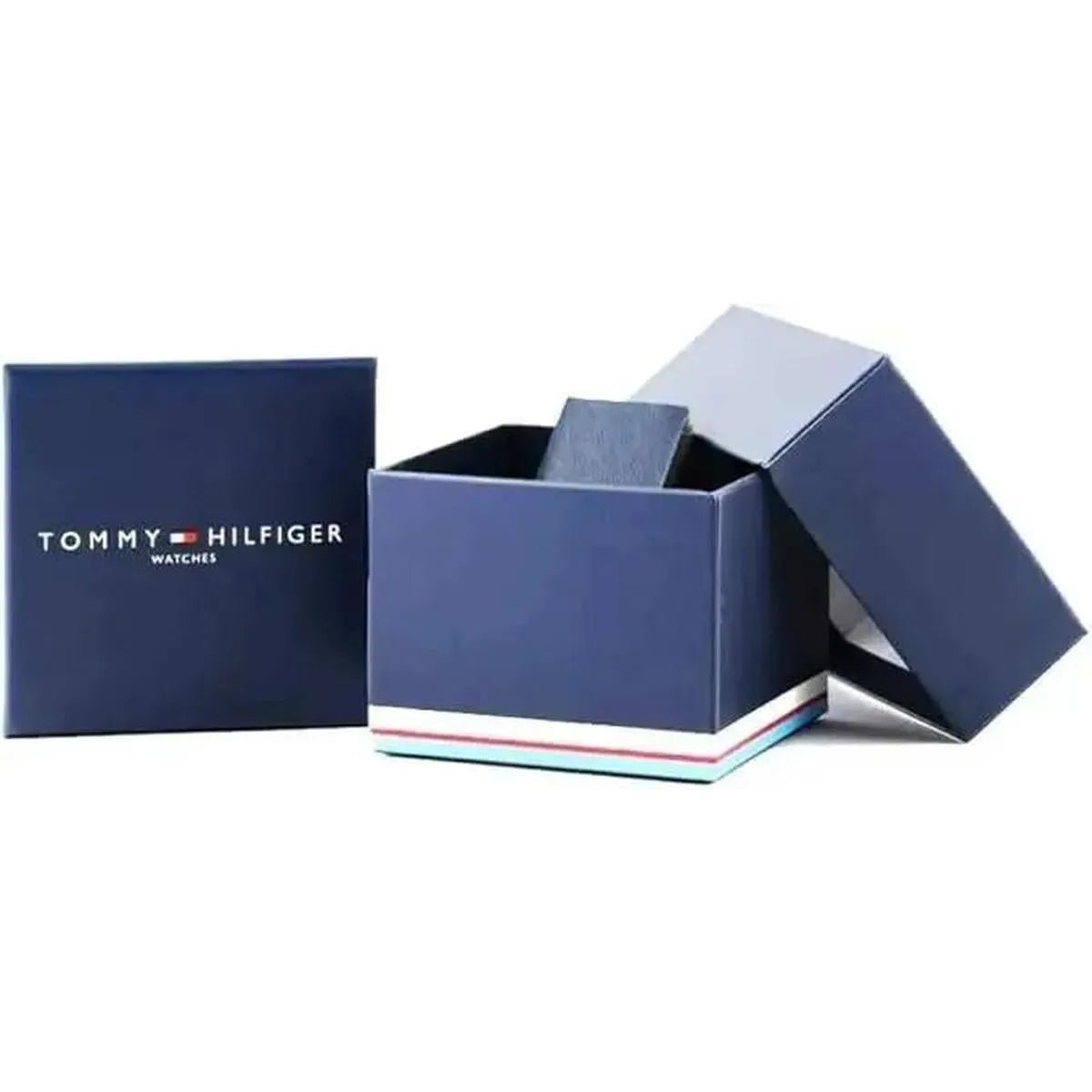 Tommy Hilfiger Daniel Quartz Men's Watch 1710380 - Watch Enclave